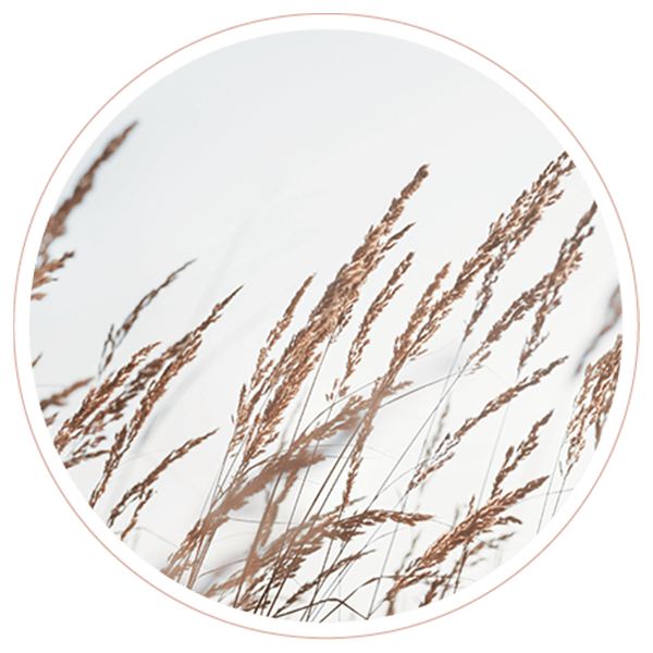 https://couplesinstituteofcolorado.com/wp-content/uploads/2022/02/image_02_contact.png